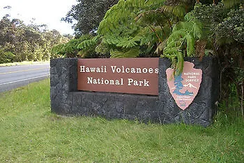 Volcano Forest Inn
